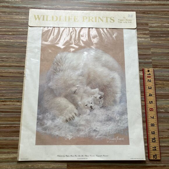 Polar Bear & Cubs Art Print J Sharkey Thomas Vintage 70s Wildlife Pepper House - Picture 2 of 7